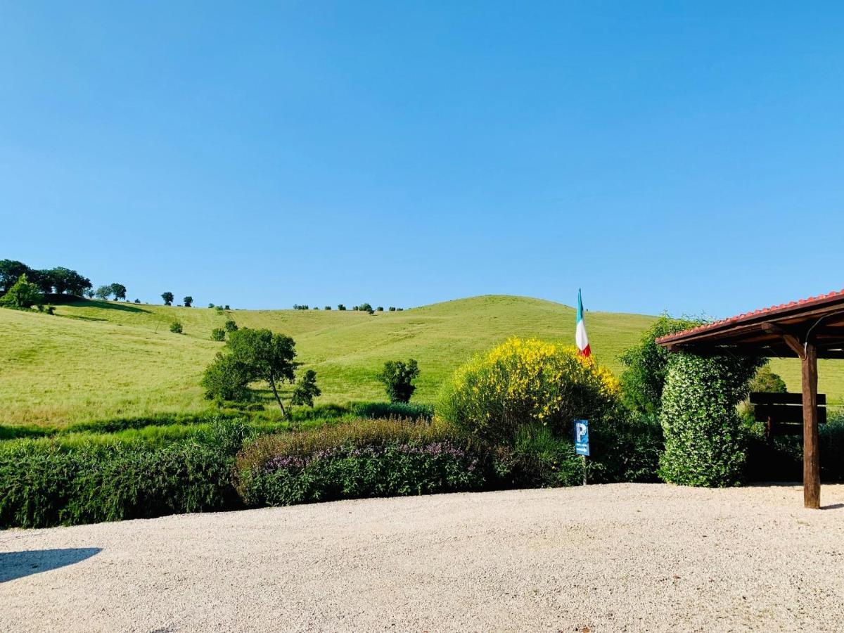8380 Agriturismo L'Oleandro Montemerano Exterior foto